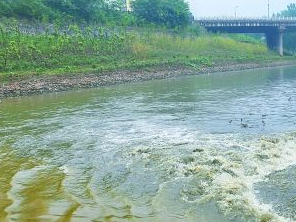 保定清苑污水清运多少钱